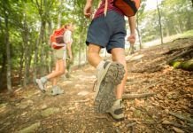 ¿Son recomendables los bastones de Trekking? bastones de Trekking